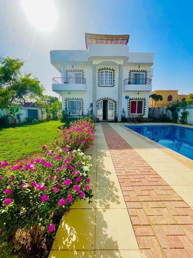 Ali Luxury Villa Luxor Exterior photo